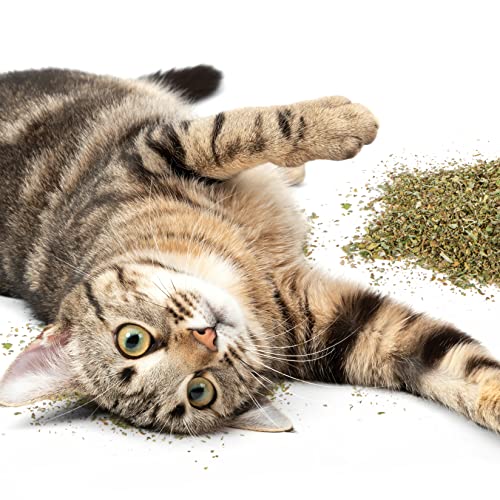 SmartyKat 0.5 oz Organic Catnip Pouch