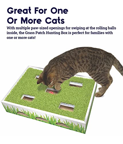 Grass Patch Hunting and Play Box Cat Ball Toy by Petstages