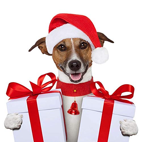 Creaker 3 Way Cat Tunnel, Collapsible Pet Toy Tunnel Ball Cat, Puppy, Kitty, Kitten, Rabbit