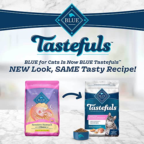 Blue Buffalo for Cats Sensitive Stomach Adult Dry Cat Food, Chicken & Brown Rice 15-lb (601)