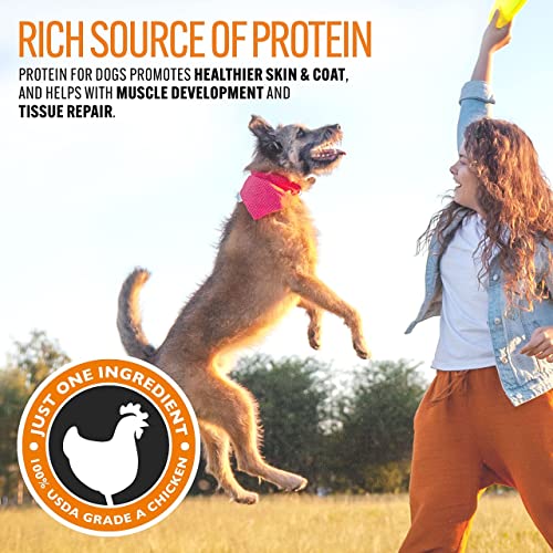 Emmy's Best #1 Premium Chicken Jerky Dog Treats Made in USA Only All Natural - No Fillers, Additives or Preservatives