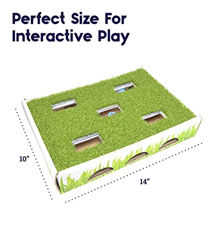 Grass Patch Hunting and Play Box Cat Ball Toy by Petstages