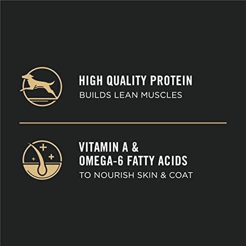 Purina Pro Plan Dry Puppy Food, Chicken and Rice Formula, 34-Pound Bag, (Model: 00038100132703)