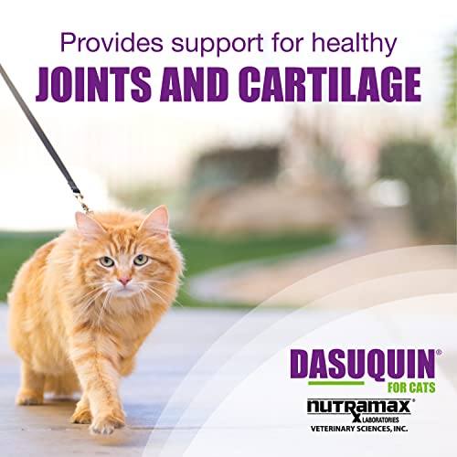 Nutramax Dasuquin Capsules, 84 Count