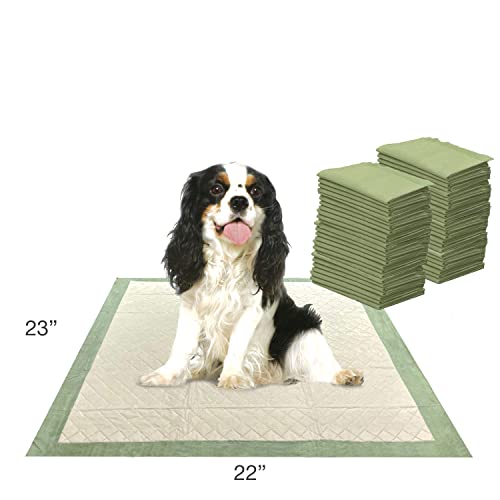 Wee-Wee Puppy Pee Pads 50 Count Standard 22" x 23" - Eco-Friendly