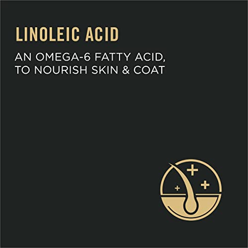 Purina Pro Plan Urinary Tract Health Dry Cat Food, FOCUS Urinary Tract Health Chicken & Rice Formula - 16 lb. Bag