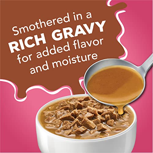 Purina Friskies Gravy Sensations Variety Packs Wet Cat Food, Surfin' & Turfin' Favorites, 36 Ounces, Pack of 12