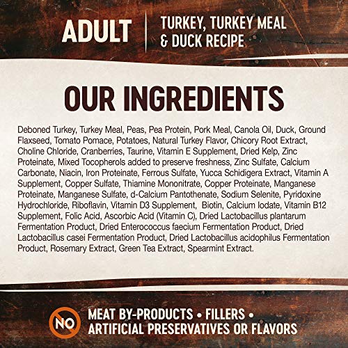 Wellness Core Natural Grain Free Dry Cat Food, Turkey, Turkey Meal & Duck Recipe, 11-Pound Bag