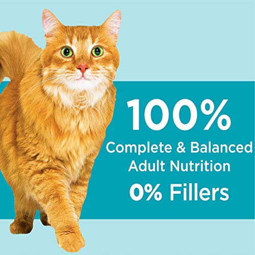 IAMS PROACTIVE HEALTH Adult Indoor Weight Control & Hairball Control Dry Cat Food with Chicken, Turkey, and Garden Greens, 22 lb. Bag