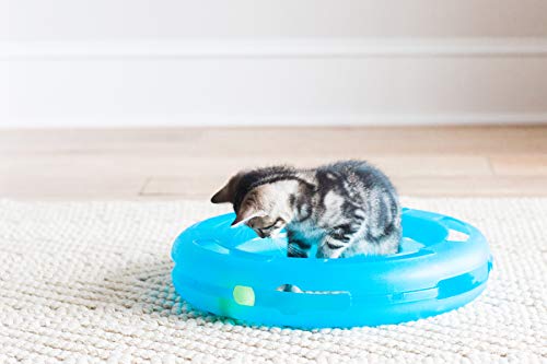 Petmate Crazy Circle Interactive Cat Toy, Small