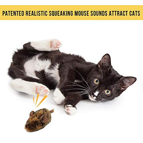 Our Pets Play-N-Squeak Mouse Hunter (1360012074)