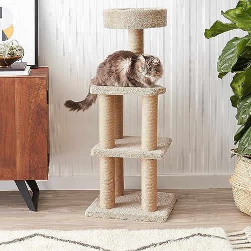 AmazonBasics Large Cat Condo Tree Tower with Scratching Post - 18 x 18 x 46 Inches, Beige