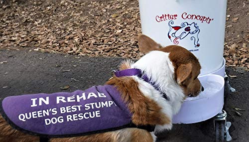 Critter Concepts Dog Water Dispenser 5 Gallon Automatic Waterer for Thirsty Dogs  Large Rolling Pet Fountain Dog Water Bowl, Anti-Fall Indoor/Outdoor Self-Dispensing Gravity Design, Easy to Clean