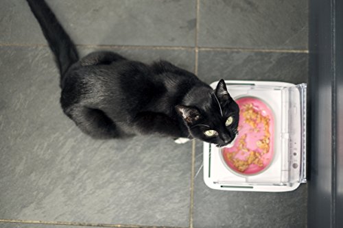 Sure Petcare - SureFeed - Motion Activated Sealed Pet Bowl