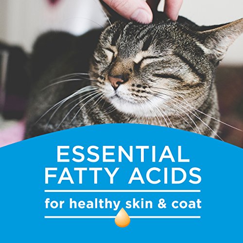 Purina Cat Chow Dry Cat Food, Complete, 22 Lb