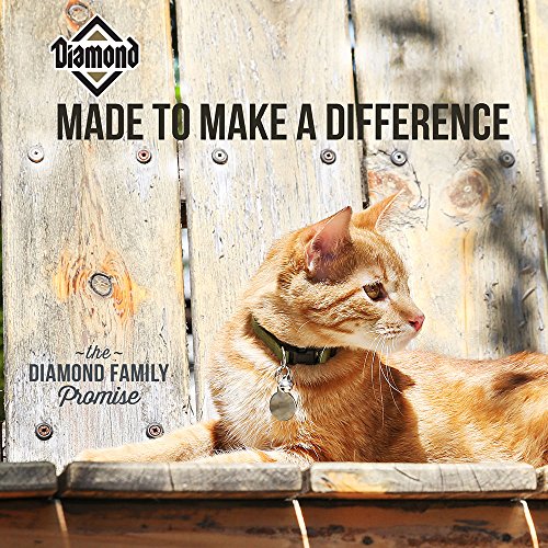 Diamond Premium Recipe Maintenance Complete And Balanced Dry Cat Food For Moderately Active Cats 40Lb