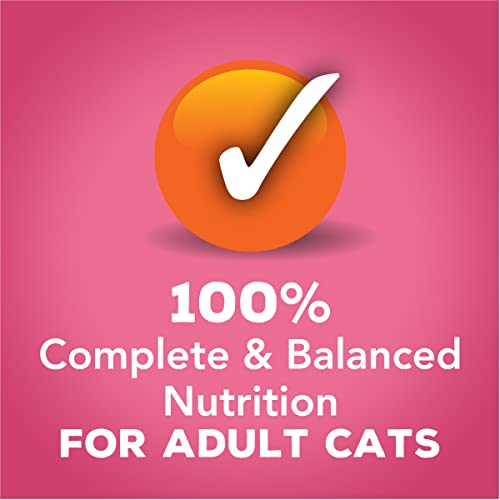 Purina Friskies Gravy Sensations Variety Packs Wet Cat Food, Surfin' & Turfin' Favorites, 36 Ounces, Pack of 12