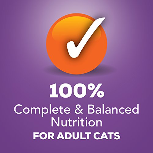 Purina Friskies Pate Wet Cat Food, Turkey & Giblets Dinner - (24) 5.5 oz. Cans