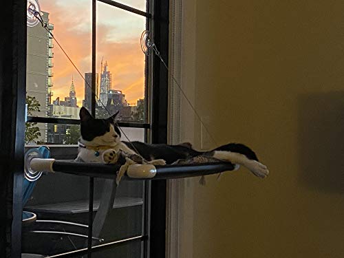 Kitty Cot Original World's Best Cat Perch (Large)