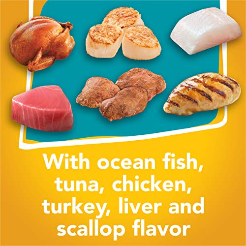 Purina Friskies Tasty Treasures Prime Filet Cat Food Variety Pack - (12) 5.5 oz. Cans (packaging may vary)