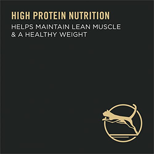 Purina Pro Plan Focus Indoor Care Turkey Rice Dry Adult Cat Food (16 Lb)