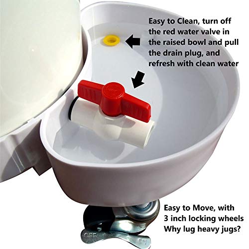 Critter Concepts Dog Water Dispenser 5 Gallon Automatic Waterer for Thirsty Dogs  Large Rolling Pet Fountain Dog Water Bowl, Anti-Fall Indoor/Outdoor Self-Dispensing Gravity Design, Easy to Clean