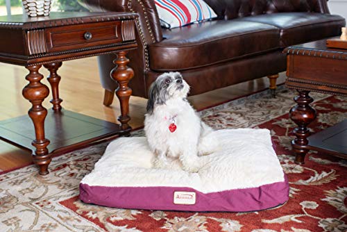 Armarkat Pet Bed Mat 28 by 22 by 5, M02HJH/MB-Medium, Ivory