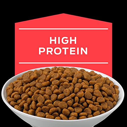 Veterinary Diets Purina Pro Plan DM DM Dietetic Management Dry Food - (1) 10 lb. Bag