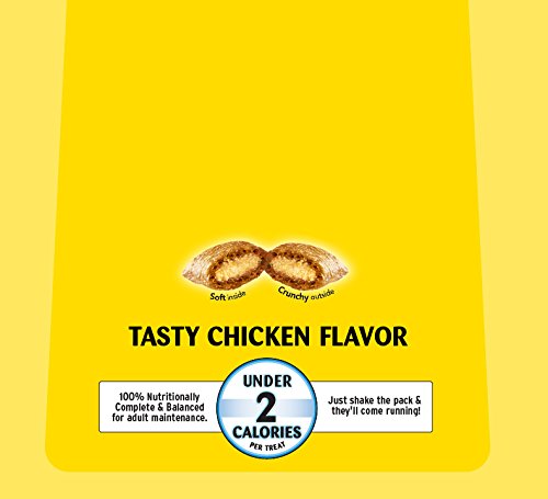 Temptations Classic Treats For Cats Tasty Chicken Flavor 16 Ounces (Pack Of 4)