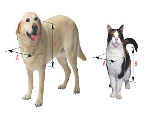 Ideal Pet Products Aluminum Sash Window Pet Door, Large, 7.5" x 10.5" Flap Size, White