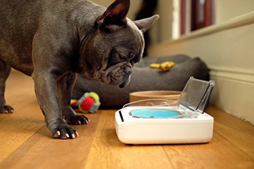 Sure Petcare - SureFeed - Motion Activated Sealed Pet Bowl