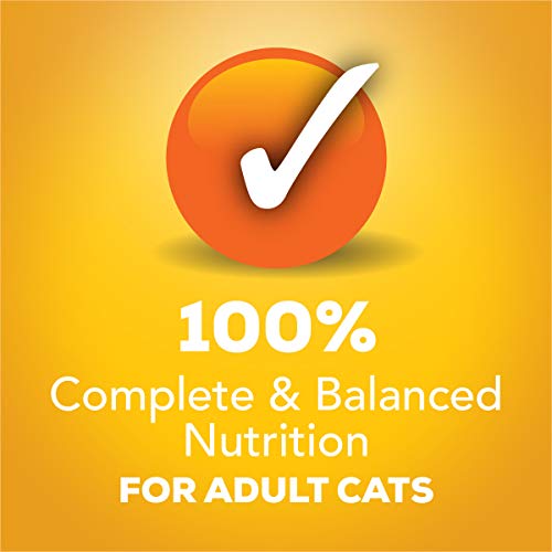 Purina Friskies Tasty Treasures Prime Filet Cat Food Variety Pack - (12) 5.5 oz. Cans (packaging may vary)