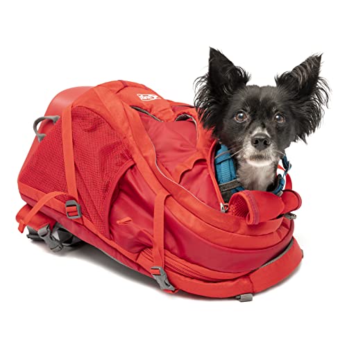 Kurgo Dog Carrier Backpack for Small Dogs and Cats, G-Train Pet Backpack Carrier, Airline Approved, Cat Backpack, Small Dog Backpack for Hiking and Travel, Waterproof Bottom, Chili Red (K01909)