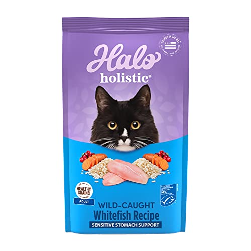 Halo Natural Dry Cat Food Sensitive Stomach Seafood Medley