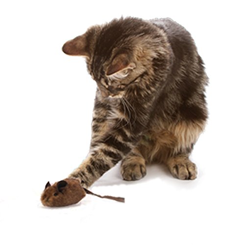Our Pets Play-N-Squeak Mouse Hunter (1360012074)