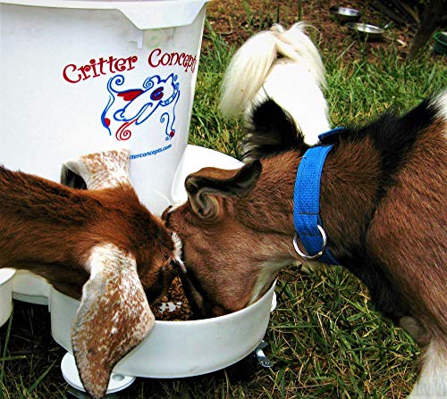 Critter Concepts Dog Water Dispenser 5 Gallon Automatic Waterer for Thirsty Dogs  Large Rolling Pet Fountain Dog Water Bowl, Anti-Fall Indoor/Outdoor Self-Dispensing Gravity Design, Easy to Clean