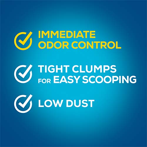 Purina Tidy Cats Instant Action Clumping Cat Litter - 40 lb. Box (00070230107121)