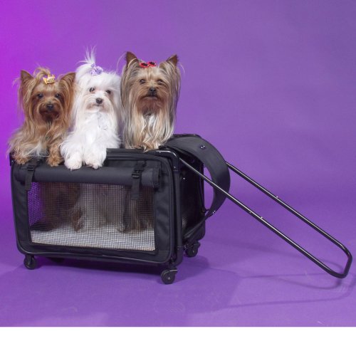 Tutto Medium Pet on Wheels Stroller, 20-Inch, Black