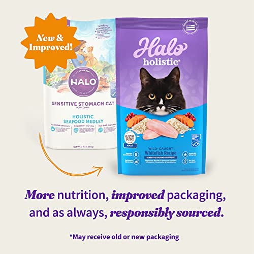 Halo Natural Dry Cat Food Sensitive Stomach Seafood Medley