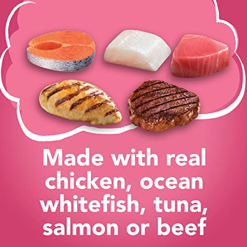 Purina Friskies Wet Cat Food Variety Pack, Surfin' & Turfin' Prime Filets Favorites - (40) 5.5 oz. Cans, Prime Filets Variety Pack