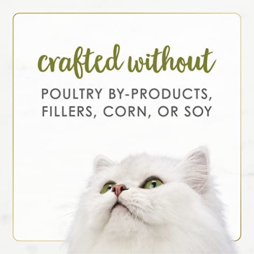 Purina Fancy Feast Natural Wet Cat Food, Gourmet Naturals White Meat Chicken Recipe in Gravy - (12) 3 oz. Cans