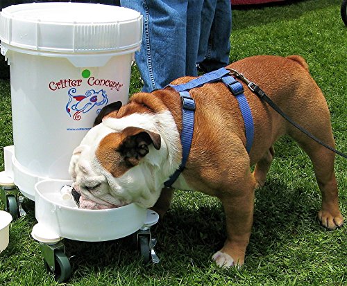 Critter Concepts Dog Water Dispenser 5 Gallon Automatic Waterer for Thirsty Dogs  Large Rolling Pet Fountain Dog Water Bowl, Anti-Fall Indoor/Outdoor Self-Dispensing Gravity Design, Easy to Clean