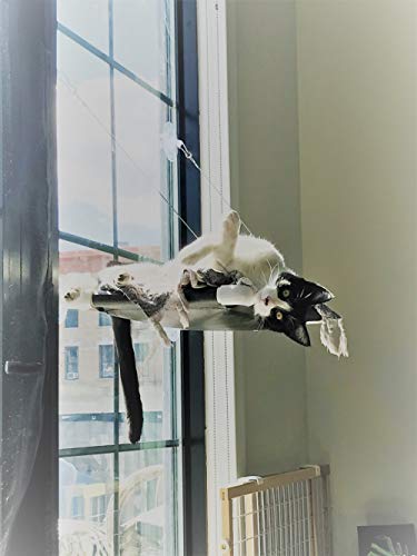 Kitty Cot Original World's Best Cat Perch (Large)