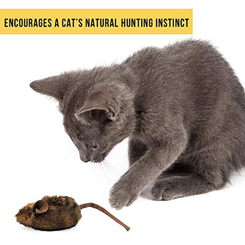 Our Pets Play-N-Squeak Mouse Hunter (1360012074)