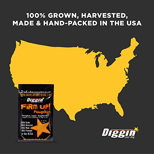 Diggin' Your Dog 1 Piece Firm Up Pumpkin Bulk Super Supplement, 16 oz