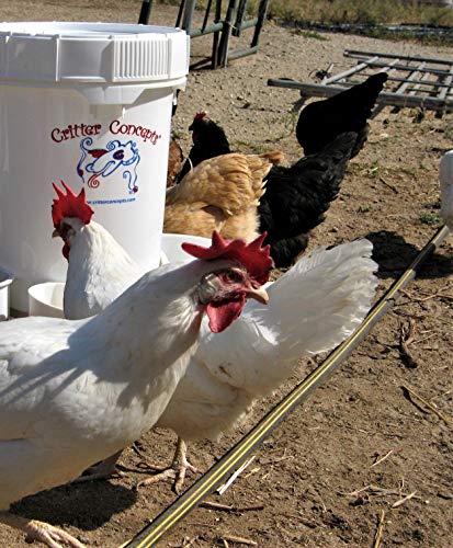 Critter Concepts Dog Water Dispenser 5 Gallon Automatic Waterer for Thirsty Dogs  Large Rolling Pet Fountain Dog Water Bowl, Anti-Fall Indoor/Outdoor Self-Dispensing Gravity Design, Easy to Clean