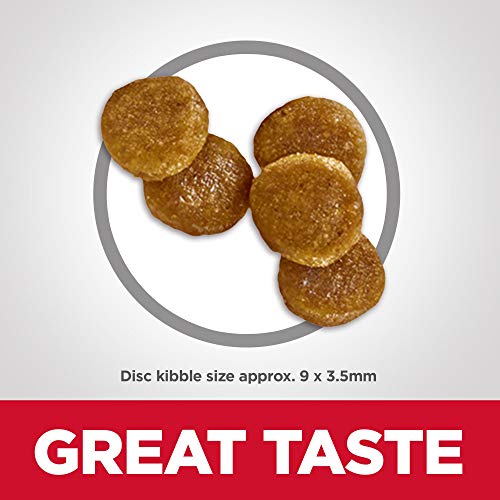 Hill's Science Diet Dry Cat Food, Adult 7+ for Senior Cats, Youthful Vitality Chicken & Rice Recipe, 13 lb Bag