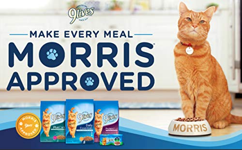 9Lives Paté Favorites Wet Cat Food Variety Pack, 5Oz Cans (Pack Of 12), Pack