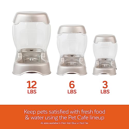 Petmate Pet Cafe Feeder Dog and Cat Feeder Pearlescent Colors 3 Sizes