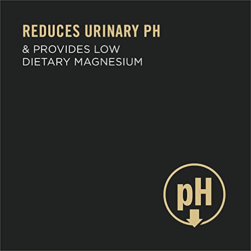 Purina Pro Plan Urinary Tract Health Pate Wet Cat Food, FOCUS Urinary Tract Health Formula With Salmon - (24) 3 oz. Pull-Top Cans, PRO PLAN Adult UTH Salmon